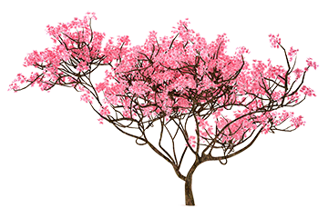 trans_tree